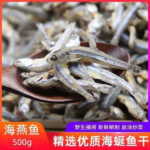 日照海燕鱼海燕鱼干海蜓鱼干