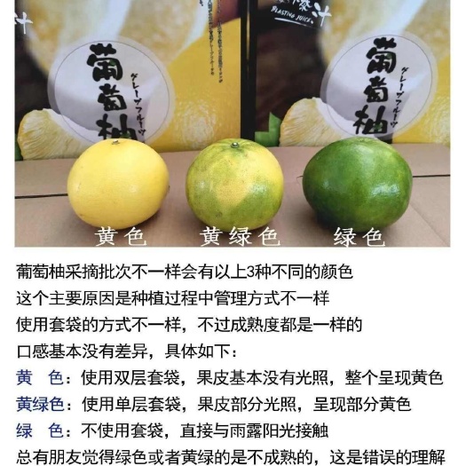 平和县新鲜葡萄柚香甜爆汁青皮黄皮随机发1/3/5斤一件代发包邮批发