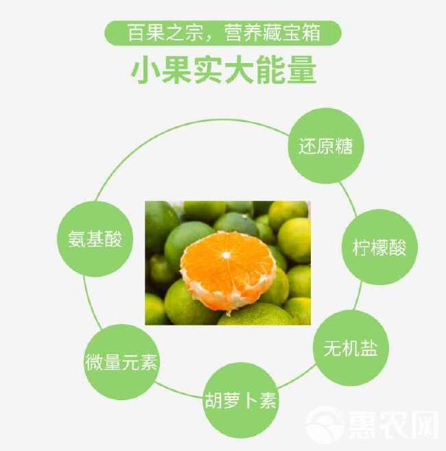 【好物推荐】蜜橘子特早熟蜜桔薄皮新鲜超甜当季新鲜水果