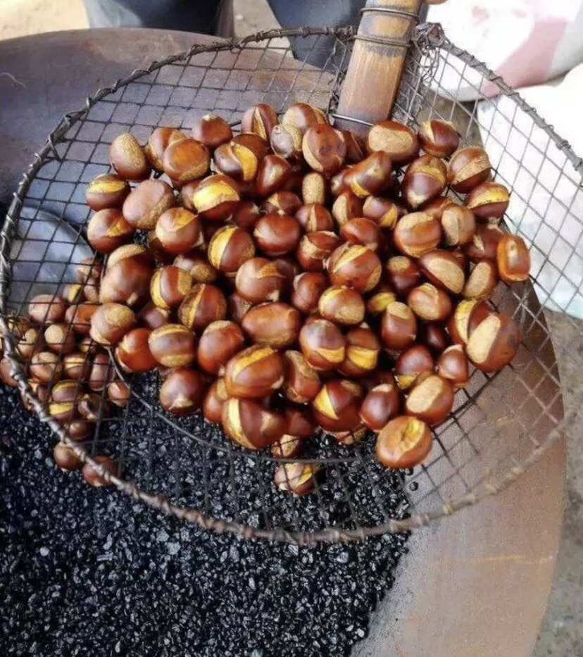 商洛板栗  陕西板栗 软糯香甜