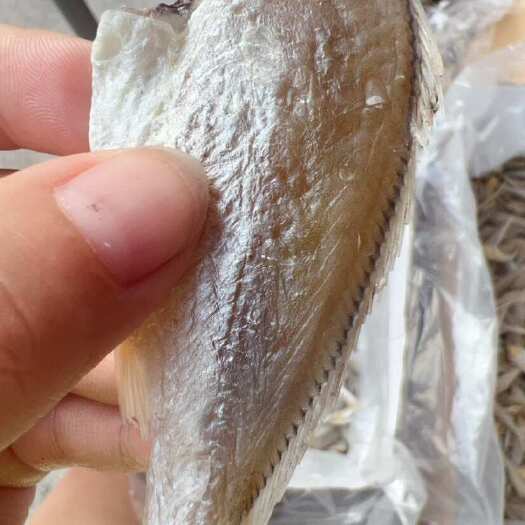 佛山黄花鱼 地摊 批发 电商 黄花鱼干 干黄花鱼 鱼干 干鱼