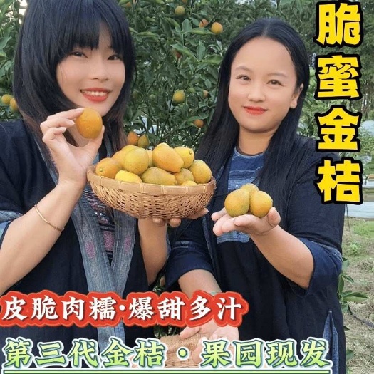 融安县脆蜜金桔