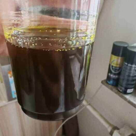 满洲里市俄罗斯油菜籽油色 65 分41 含油