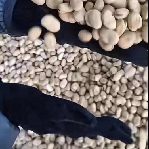 岷县东升系列
