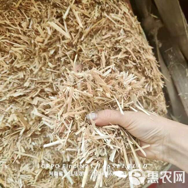 2024 新草 一级小麦秸秆，风选除尘压块，牛羊马驴草