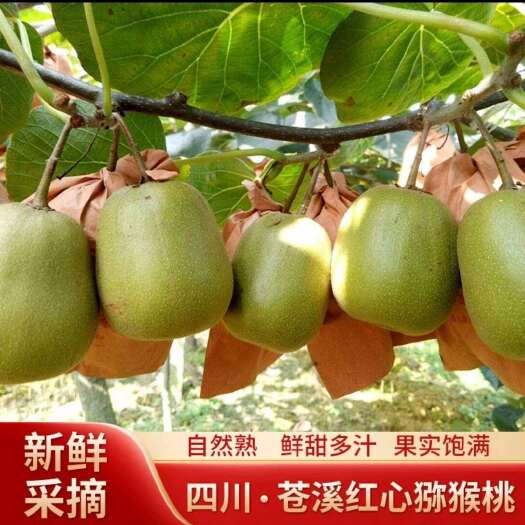广元红心猕猴桃，农家种植，产品绿色，果汁优美