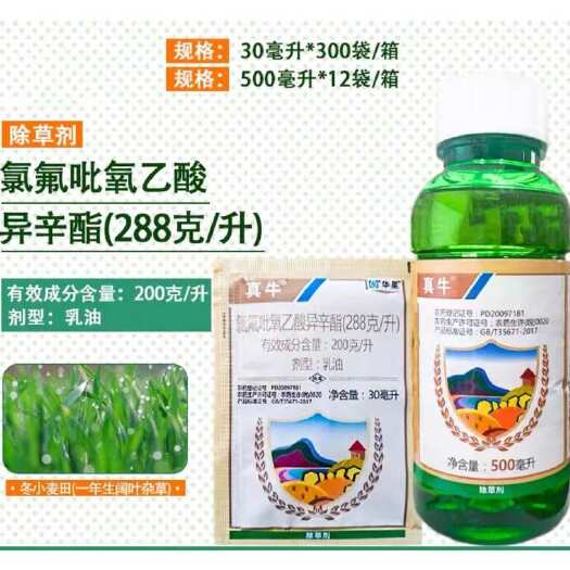 曹县华星真牛氯氟吡氧乙酸异辛酯猪殃殃空心莲阔叶杂草农药农用除草剂