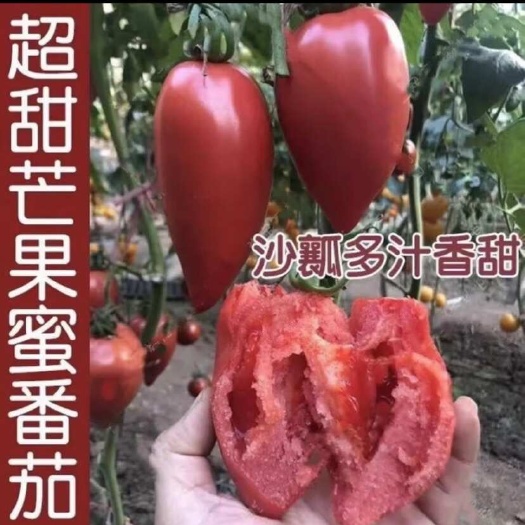 张家港市黑厨师