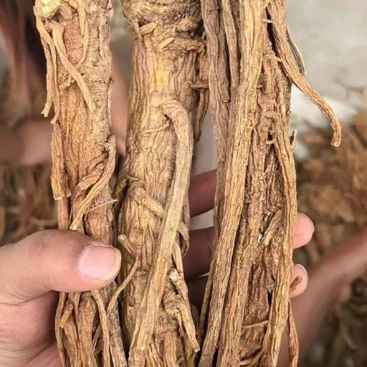 佛山独活药材干 地摊 电商 批发 独活 独活药材干 干药材