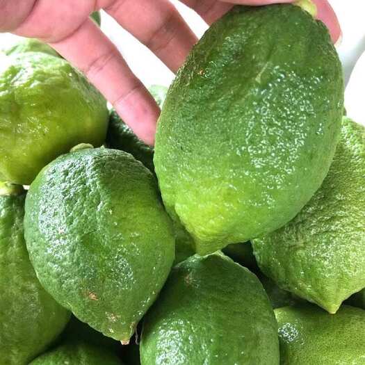 阳西县一级广东香水柠檬