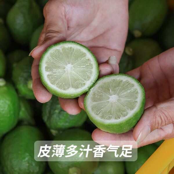 一级广东香水柠檬青柠檬新鲜绿现摘无籽当季奶茶店专用批发价