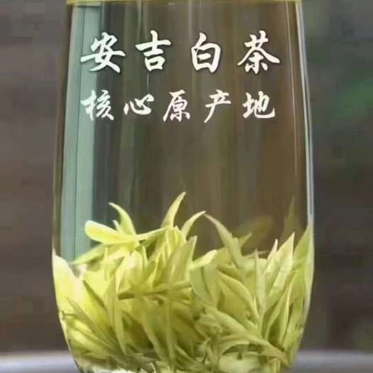 安吉县安吉白茶