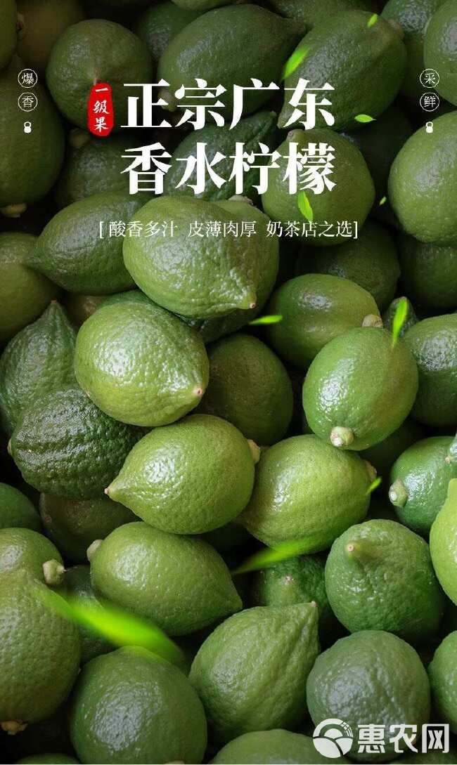 一级广东香水柠檬青柠檬新鲜绿现摘无籽当季奶茶店专用批发价