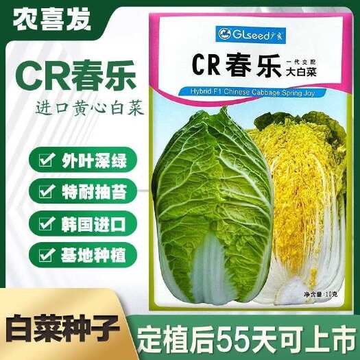 凯里市春乐韩国春秋季播种抗根肿病黄心大白菜种子籽耐抽薹耐低温