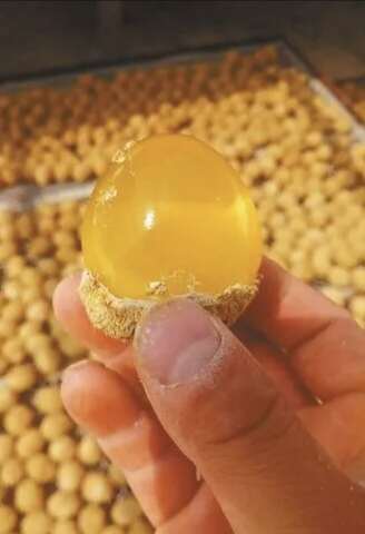 德州变蛋，无铅松花蛋，加工厂