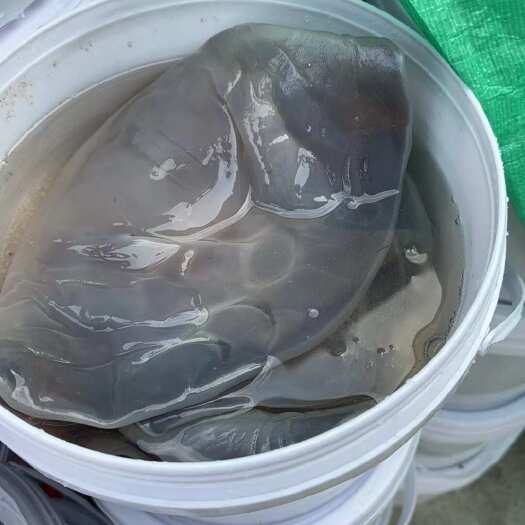 舟山海蜇皮