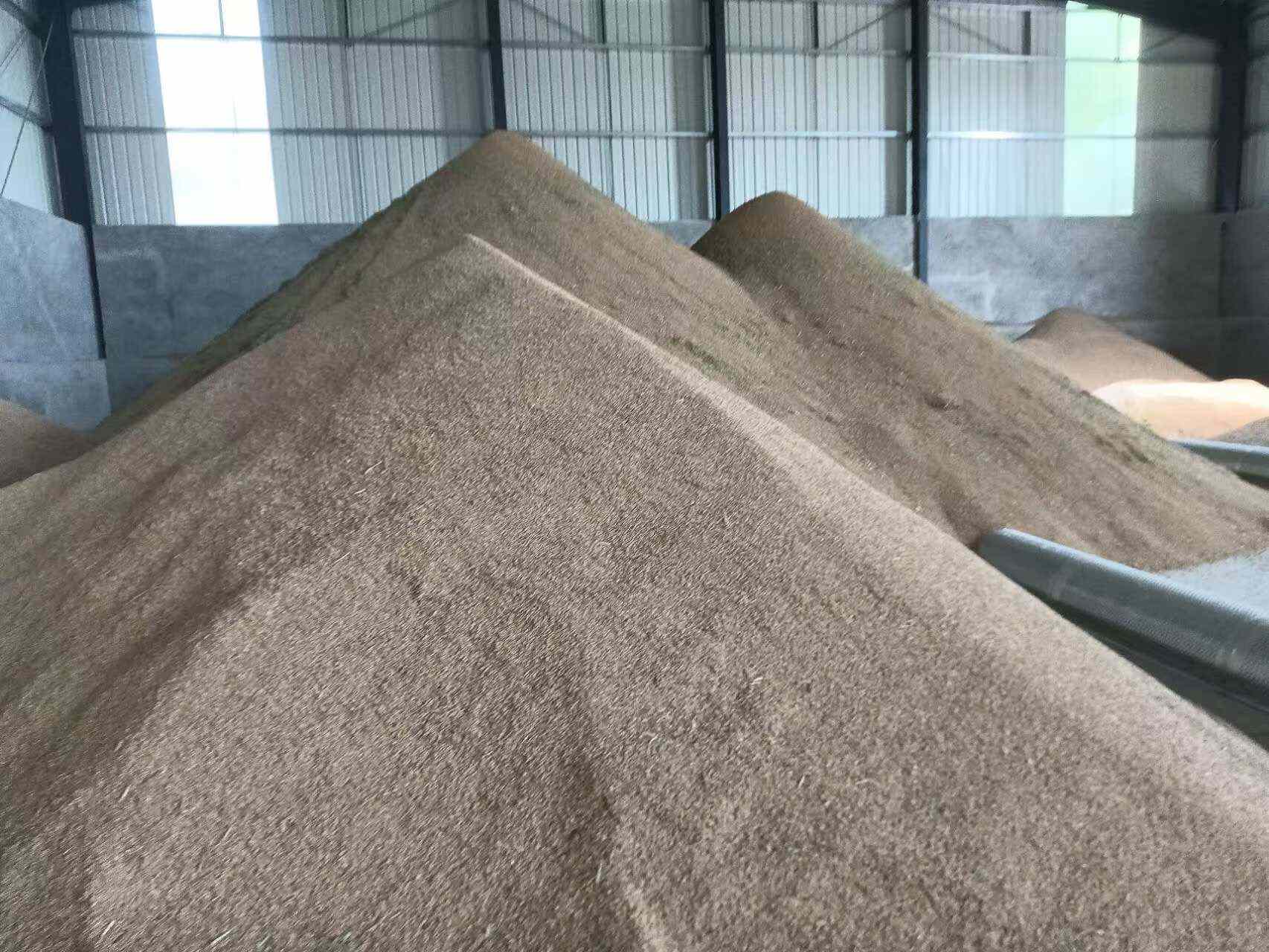 当年新收籼稻  含水率13.5以下