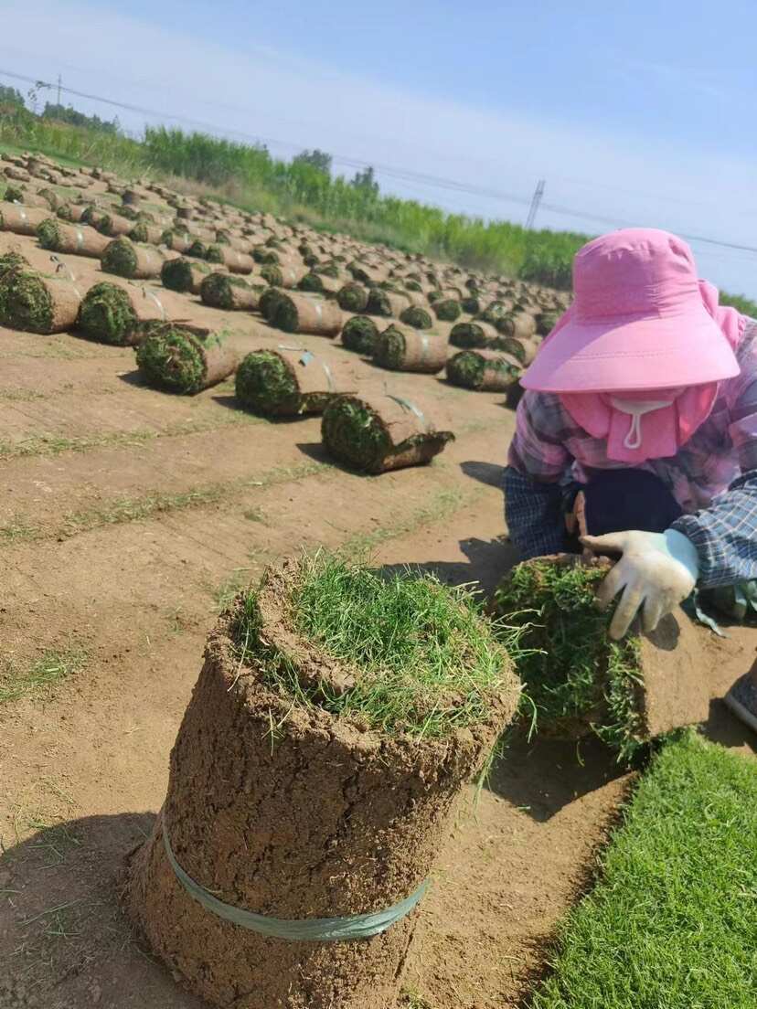 精品百慕大