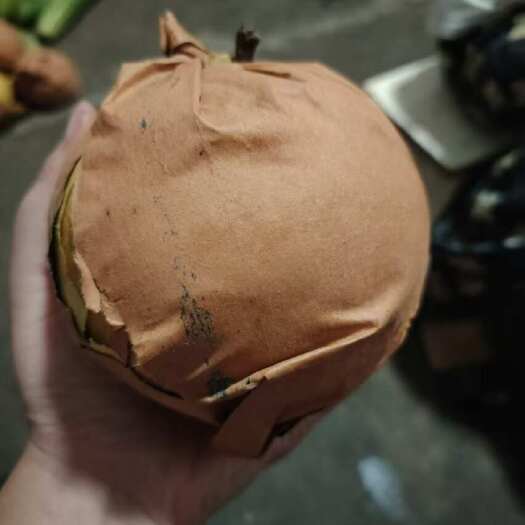 平度市大量秋月梨