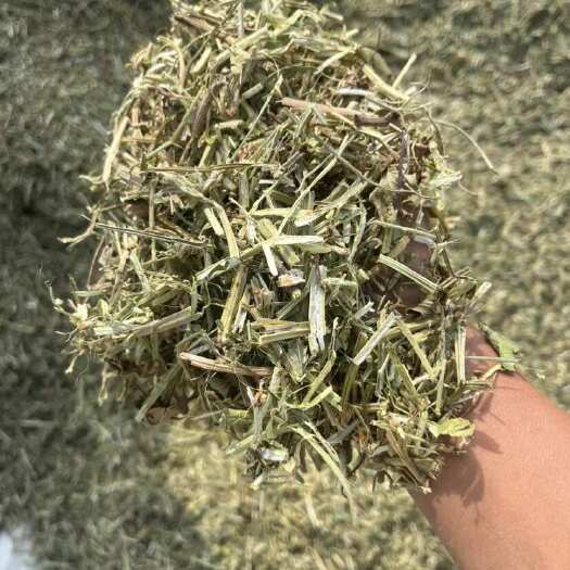 南阳优质过风旋花生秧大量出货