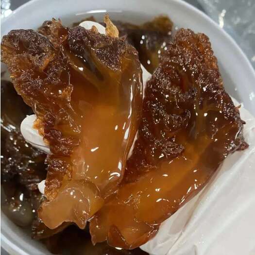 舟山海蜇头
