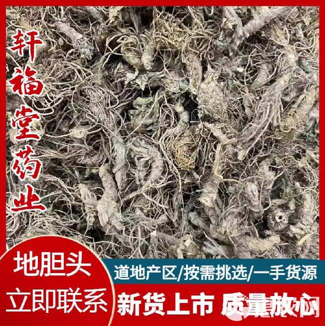 【地胆头 】苦地胆 地胆头根 牛契埔 煲汤中药材