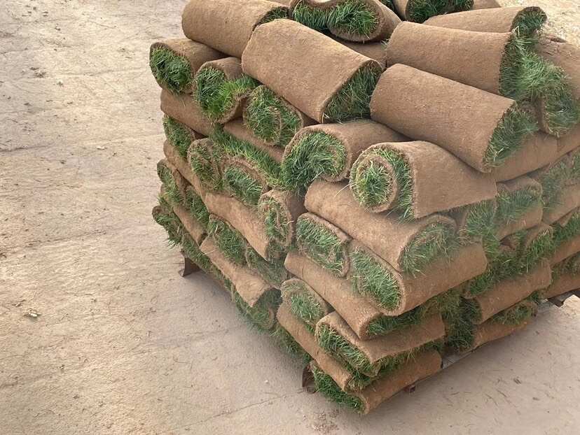 精品百慕大