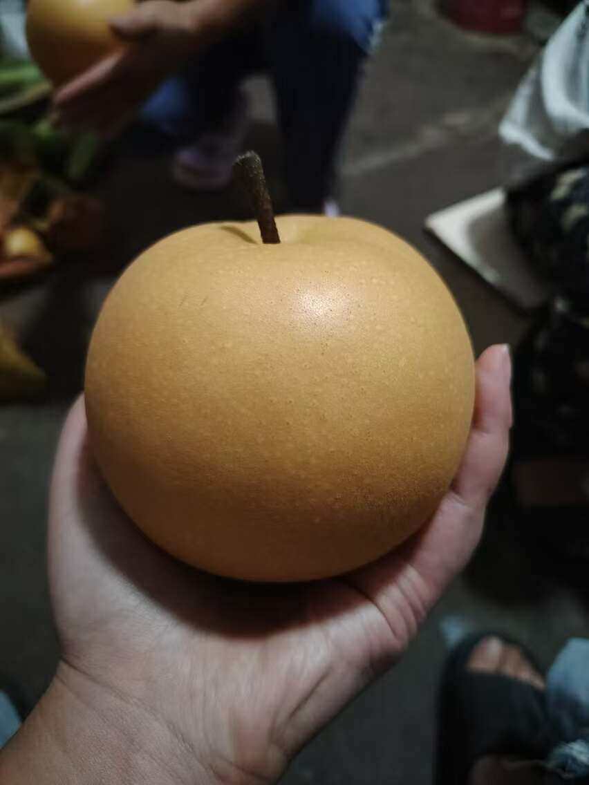 大量秋月梨