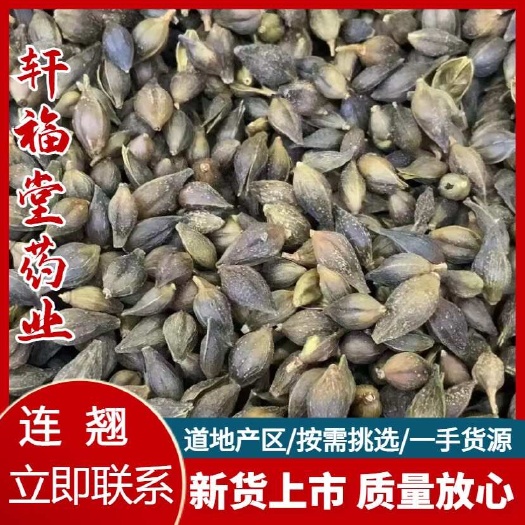 【批发联系商家】连翘 青翘优选无柄 批发优惠 包邮