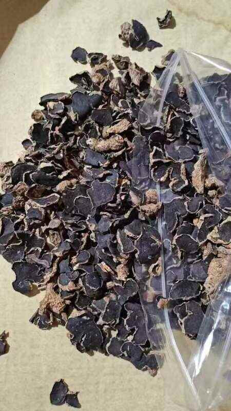 思茅紫（黑）姜