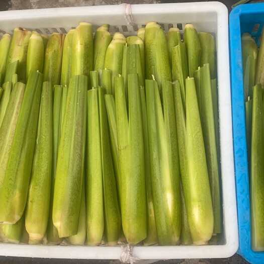 磐安县高山茭白