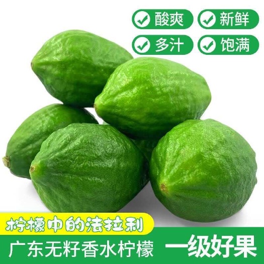 南宁广东香水柠檬奶茶店专用商用无籽一级大果新鲜水果