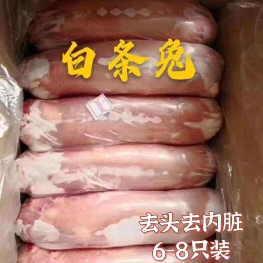 临沂白条兔