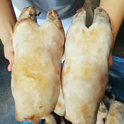 成都火烧牛蹄一手货源实物实拍，需要的联系