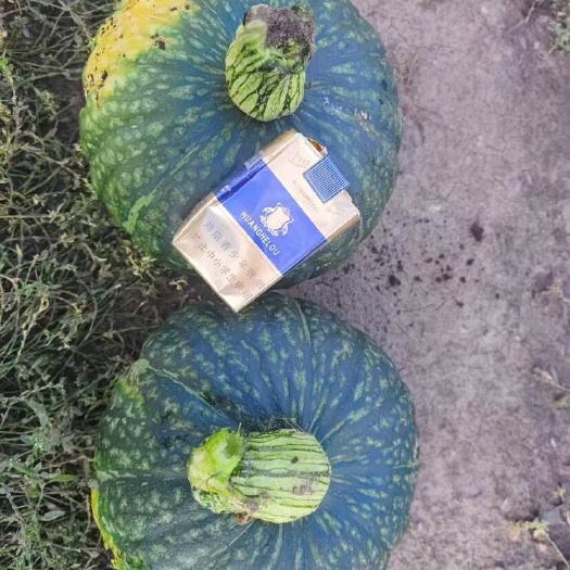 开封板栗南瓜，商超市场，加工厂养殖厂南瓜产地大量供应