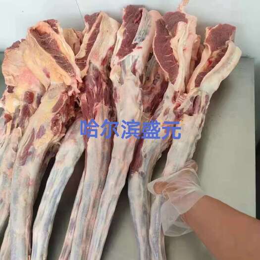 哈尔滨牛尾 带后骨质量好价格优