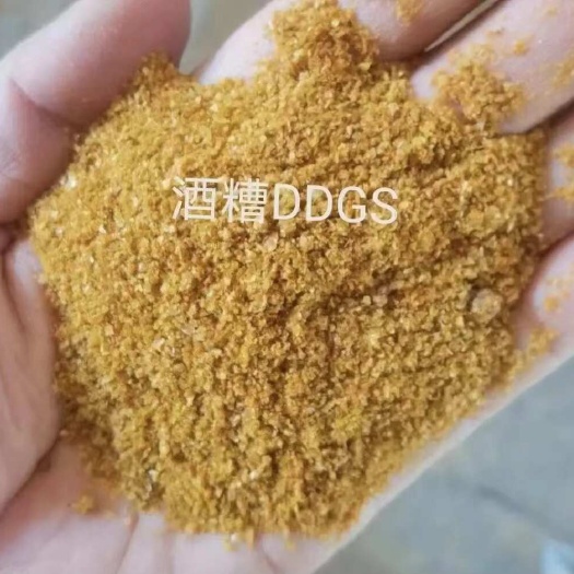 石家庄玉米酒糟