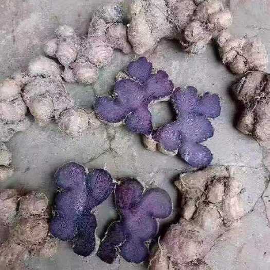 长沙紫（黑）姜