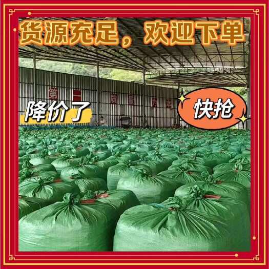 永福县牧草青贮、