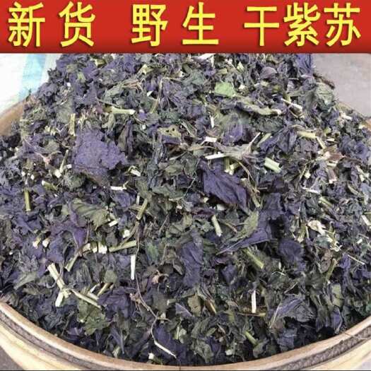 普宁市紫苏统货（含梗）