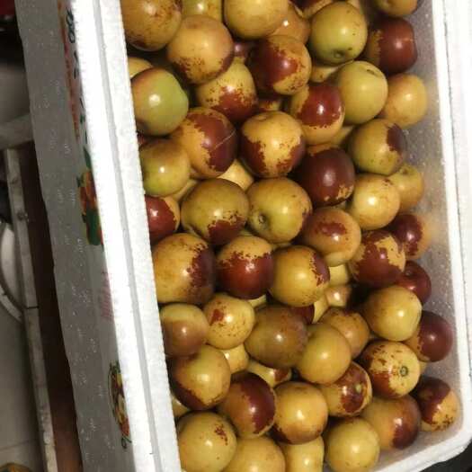 临猗县山西冬枣