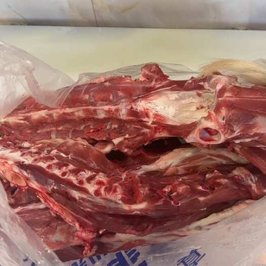 阳信县小山羊 羊蝎子