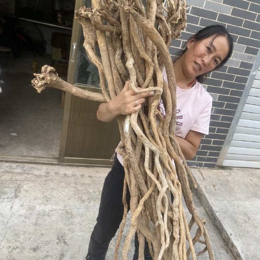 长沙黄芪老黄芪两条一斤黄芪