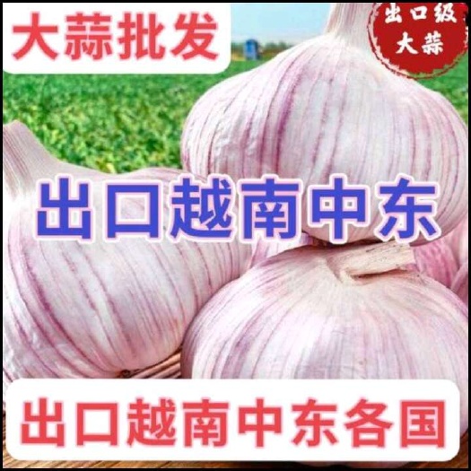 大蒜