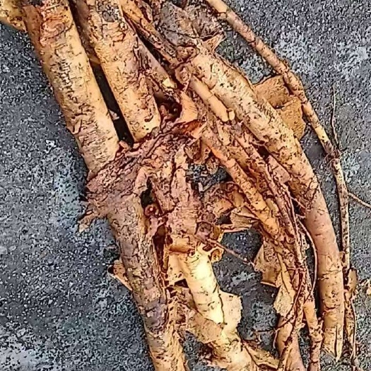 连南县穿破石