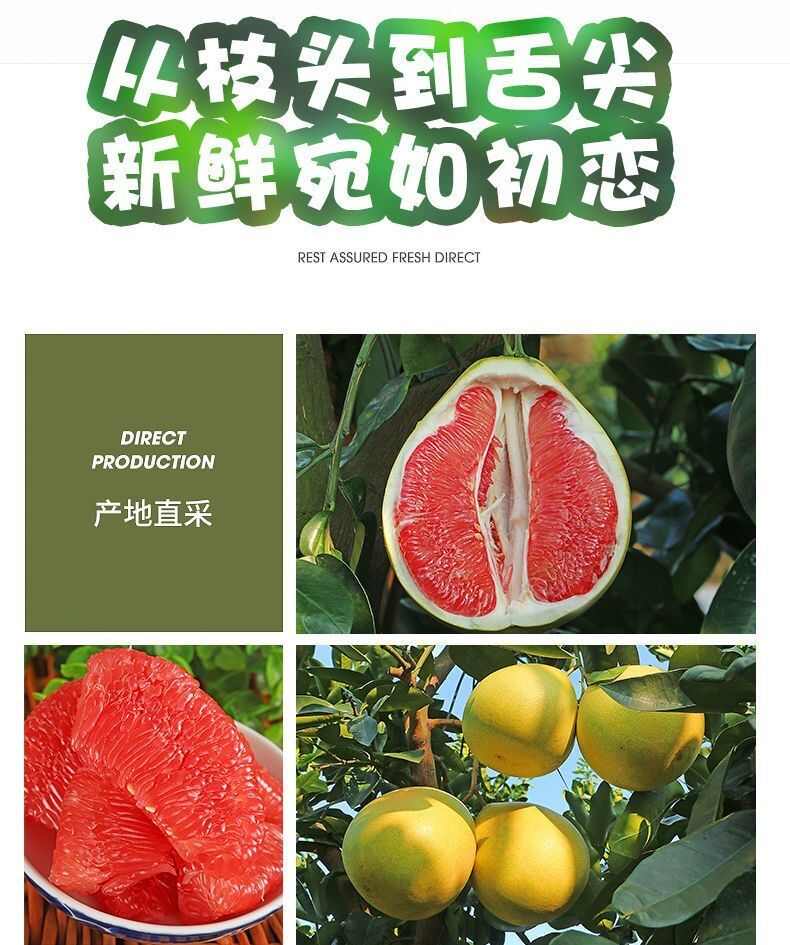 红心蜜柚广西福建平和红肉薄皮三红柚子仿真批发果蔬