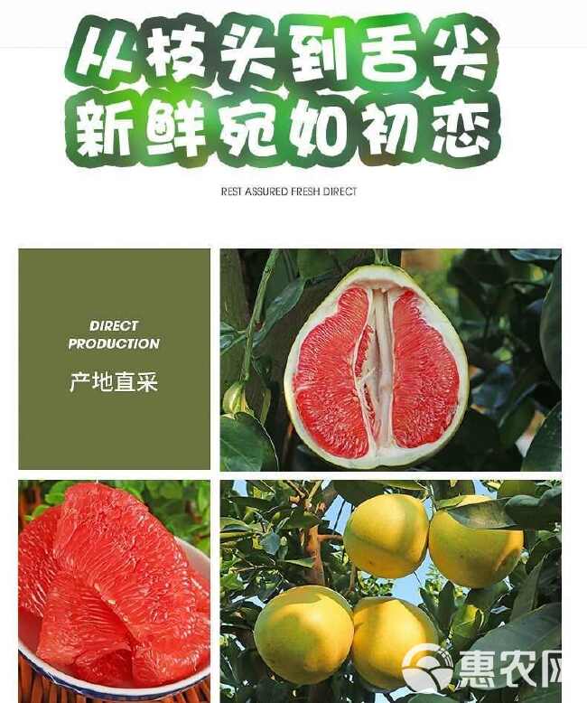 红心蜜柚广西福建平和红肉薄皮三红柚子仿真批发果蔬