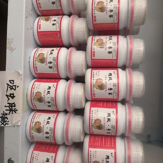 美网专家