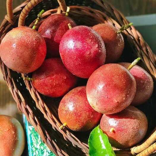 昆明【现摘】新鲜百香果5斤大果 当季水果云南新鲜现货