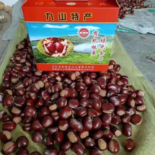 临朐县富硒小黄鹏板栗，油栗，